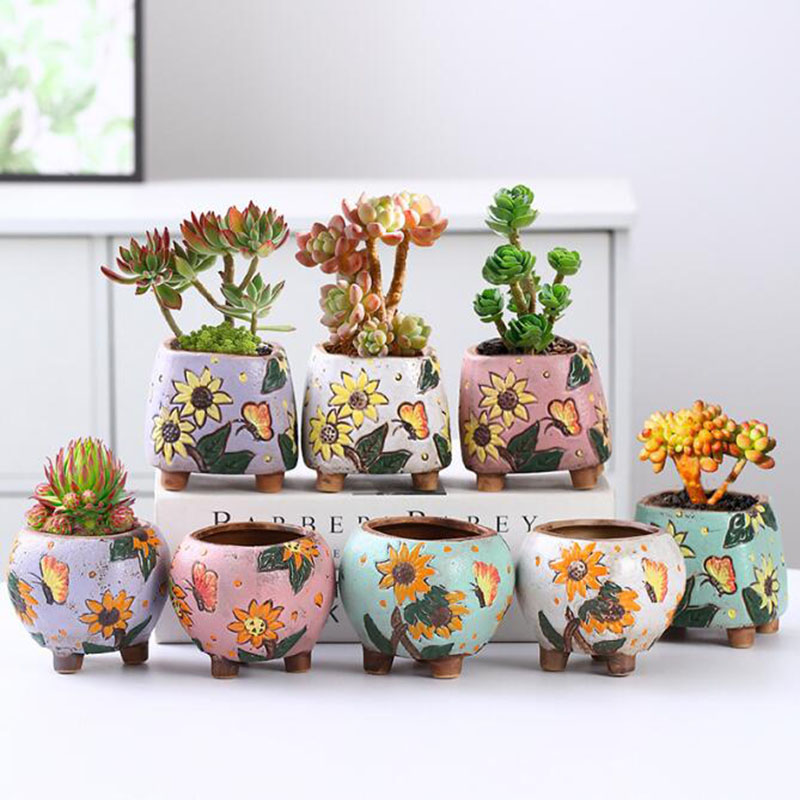 Echeveria Succulent - Vaso de plantas suculentas com padrão