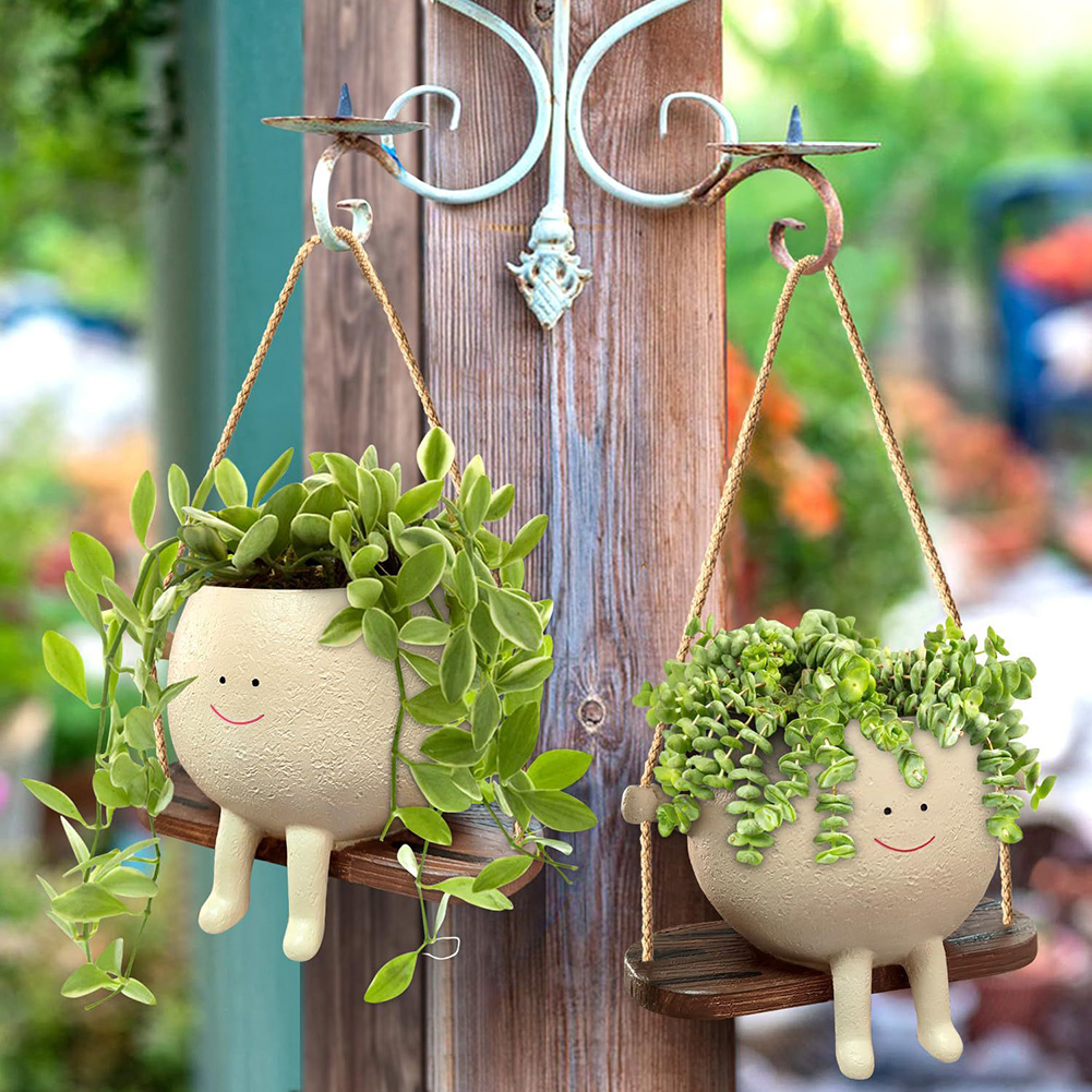 Cestas de cabide de plantas ad - Echeveria Succulent avaliação e preço