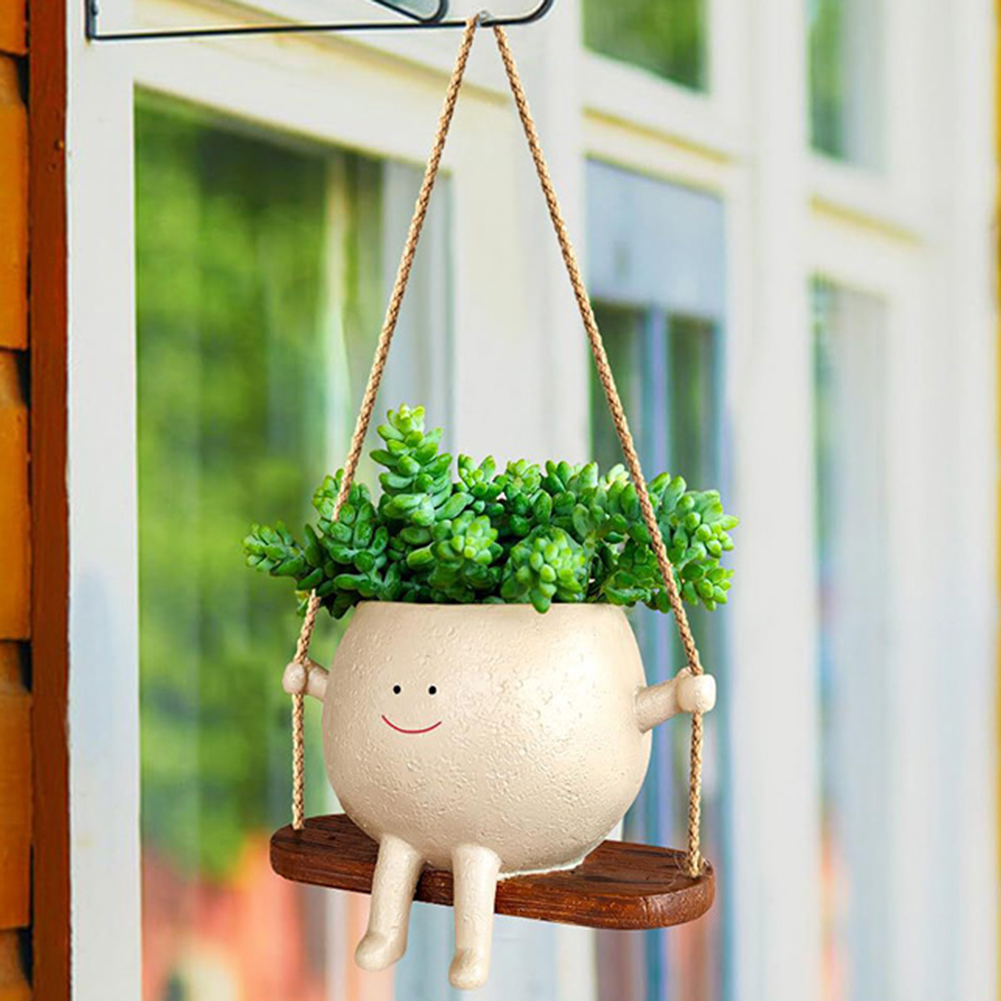 Cestas de cabide de plantas ad - Echeveria Succulent avaliação e preço