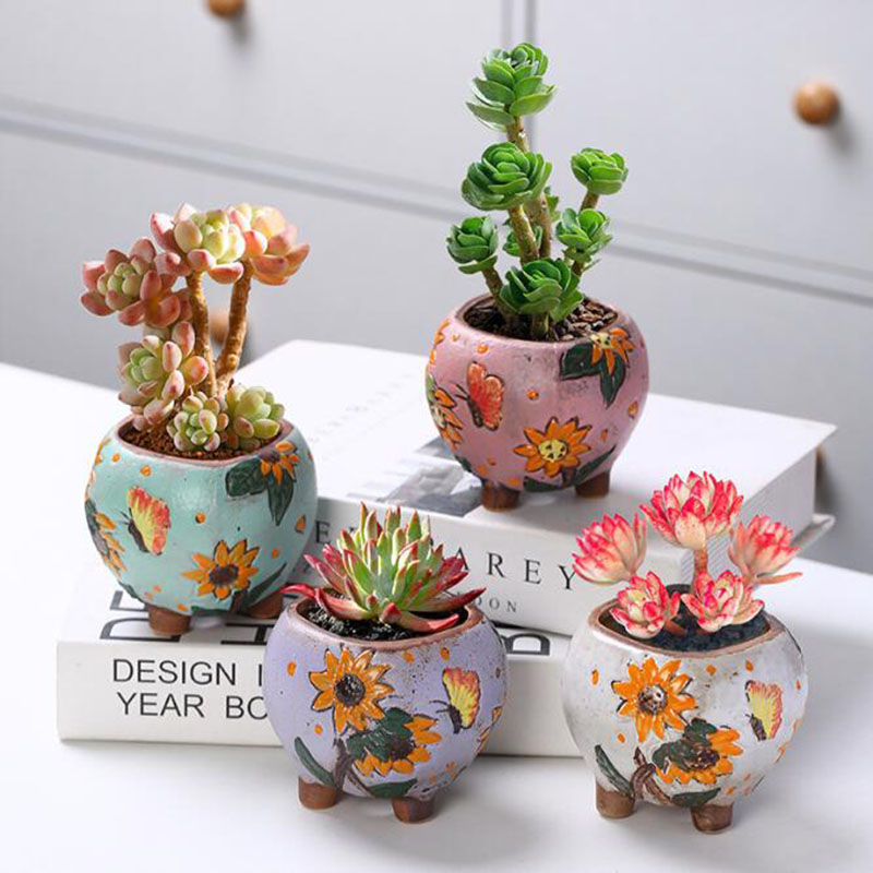 Vaso de plantas suculentas com - Echeveria Succulent avaliação e preço