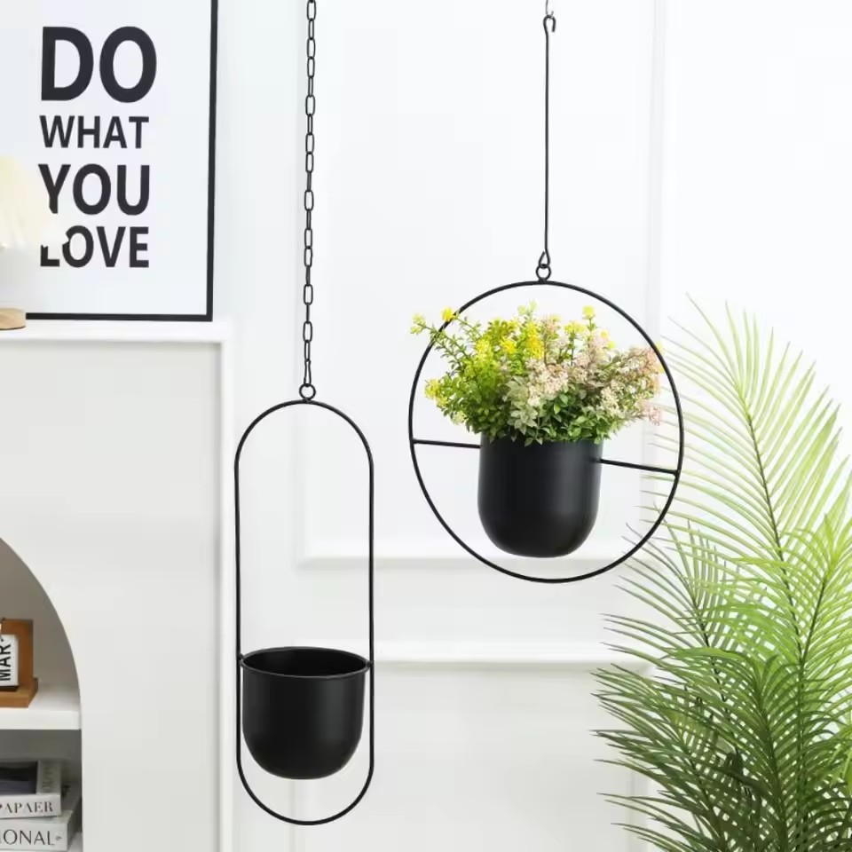 Cesta de suspensão de planta d - Echeveria Succulent avaliação e preço