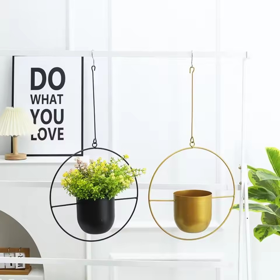 Cesta de suspensão de planta d - Echeveria Succulent avaliação e preço
