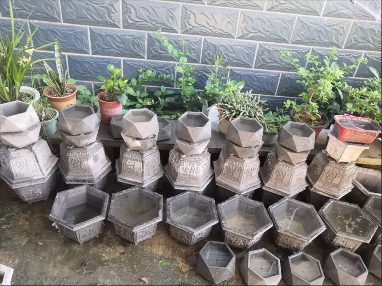 Molde de Plástico para Vasos d - Echeveria Succulent avaliação e preço