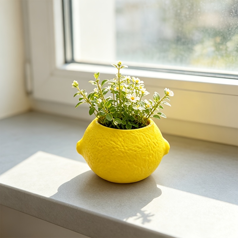 Vaso Decorativo em Forma de Li - Echeveria Succulent avaliação e preço