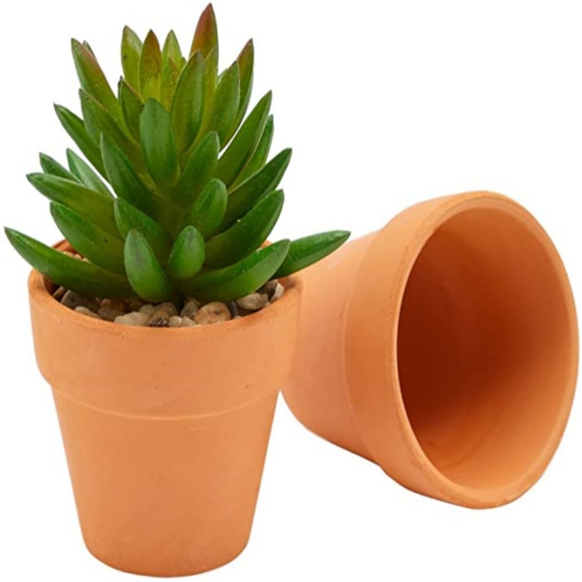 16 peças 1.8 ''vasos de terra  - Echeveria Succulent avaliação e preço