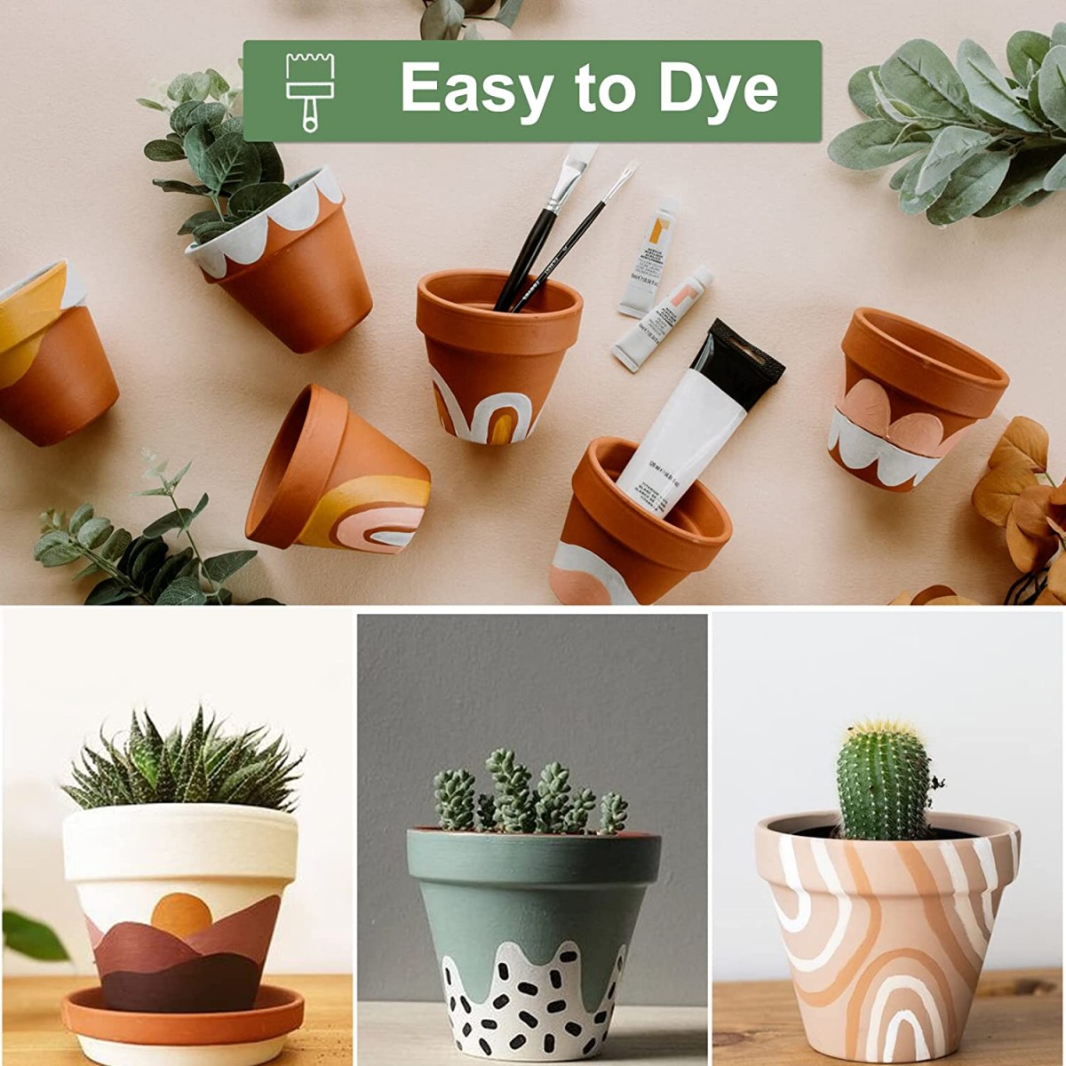 16 peças 1.8 ''vasos de terra  - Echeveria Succulent avaliação e preço