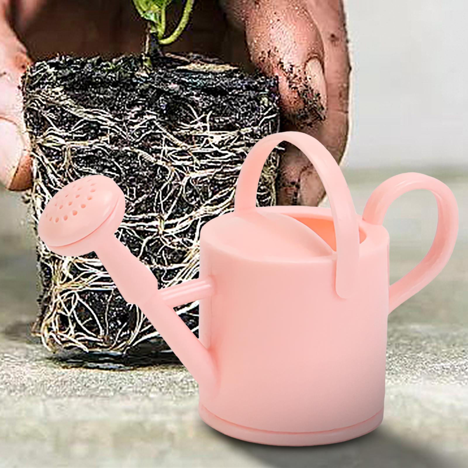 Regador Pequeno para Crianças, - Echeveria Succulent avaliação e preço