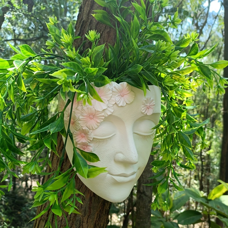 Criativo fixado na parede vaso - Echeveria Succulent avaliação e preço